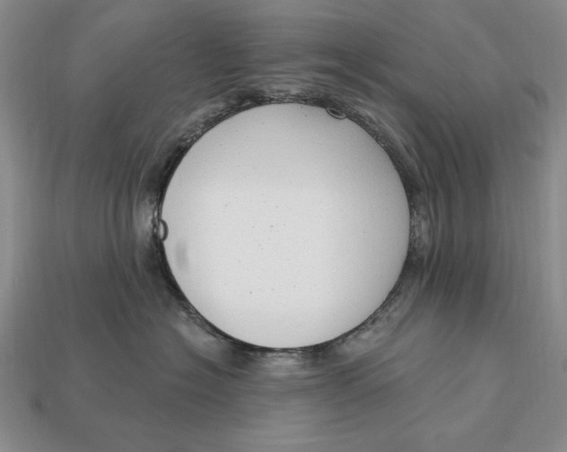 X0000112760574200909101533