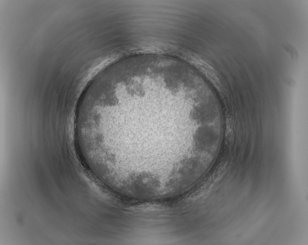 X0000112760578200909101532