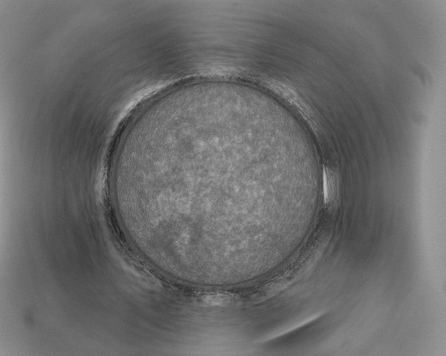 X0000112760579200909101532