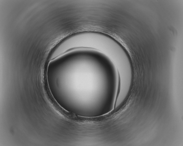 X0000112760581200909101532