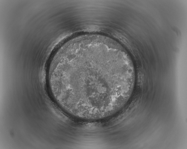 X0000112760584200909101532