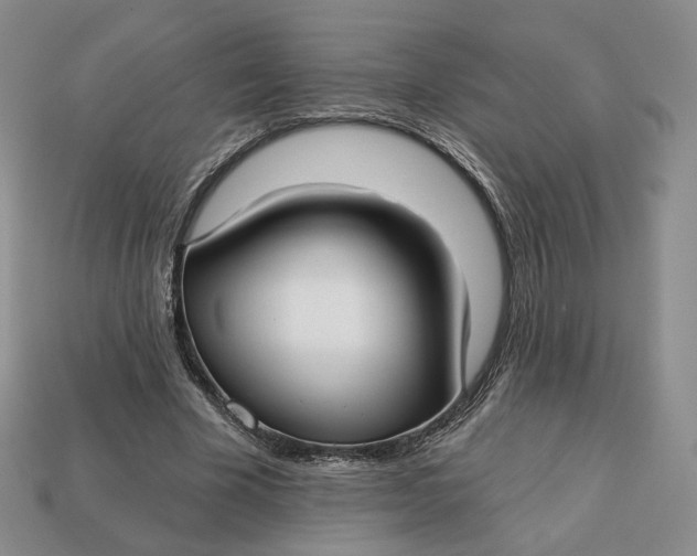 X0000112760585200909101532