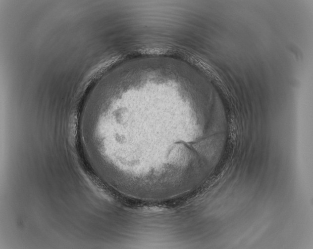 X0000112760586200909101532