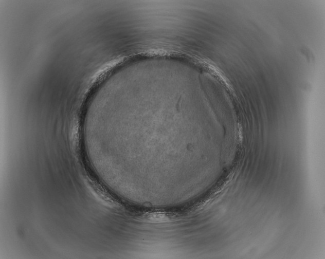 X0000112760588200909101532