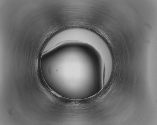 X0000112760589200909101532