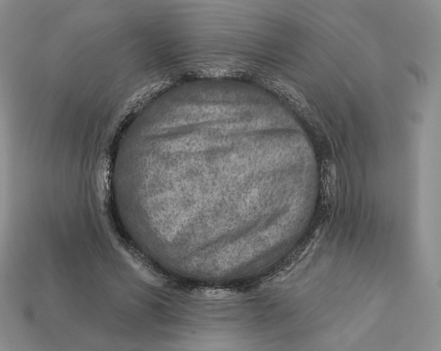 X0000112760590200909101532