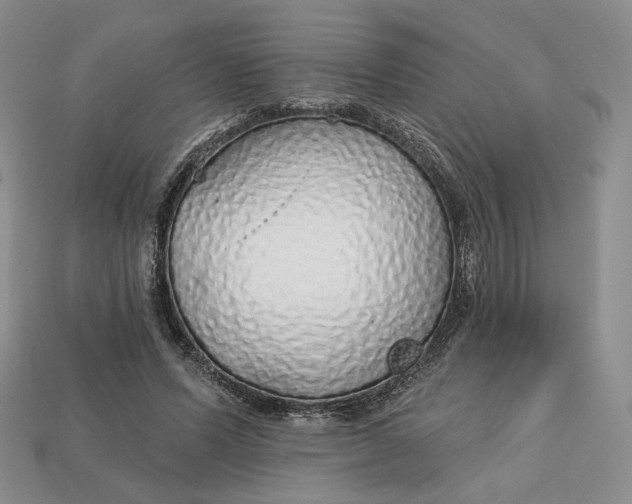 X0000112760591200909101532