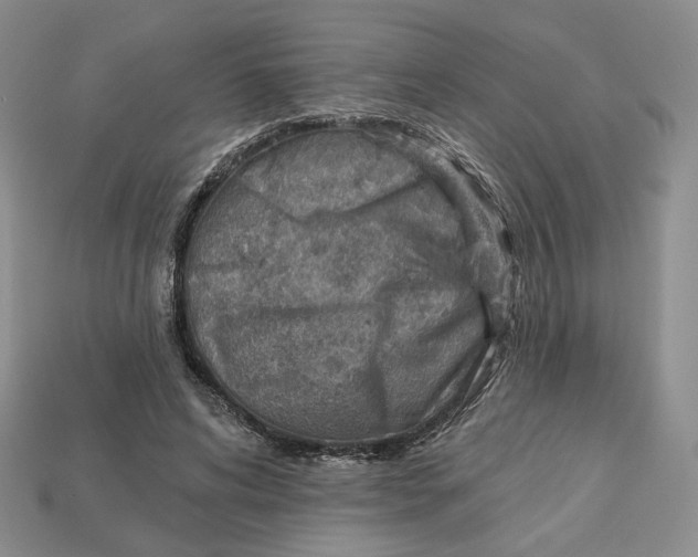X0000112760592200909101532