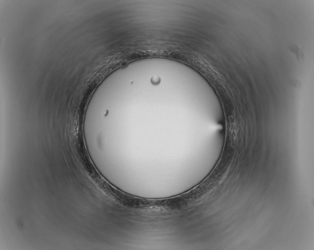 X0000112760593200909101532