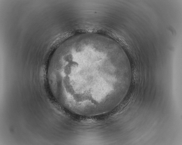 X0000112760594200909101532