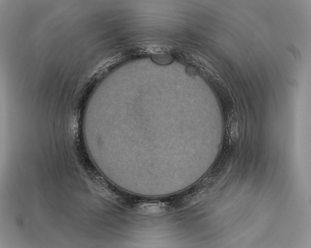 X0000112760595200909101532