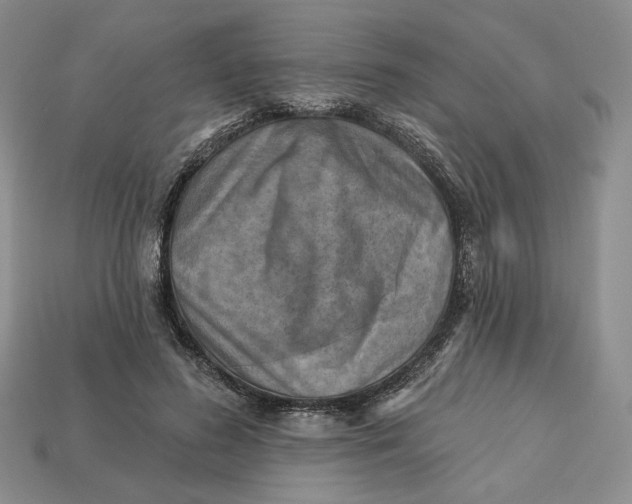 X0000112760596200909101532