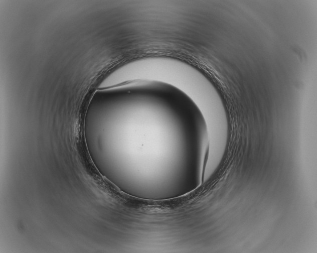X0000112760597200909101532
