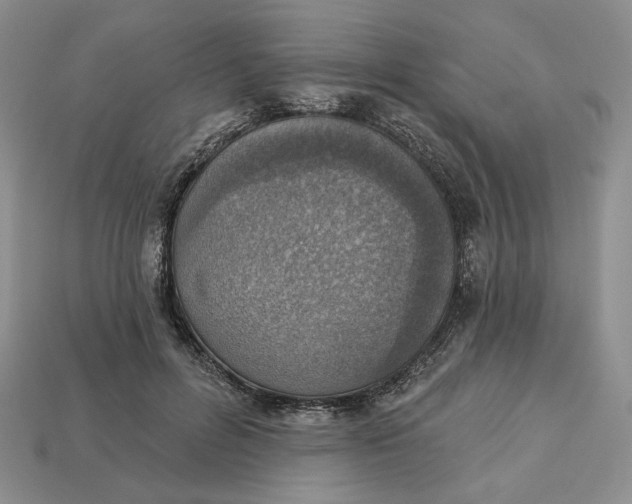 X0000112760600200909101532
