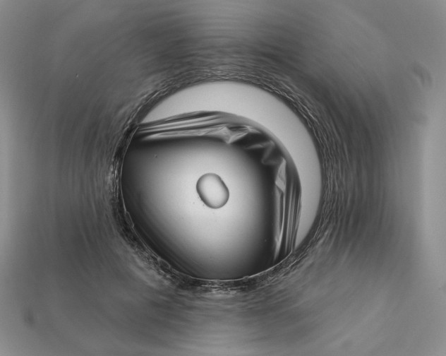 X0000112760601200909101532