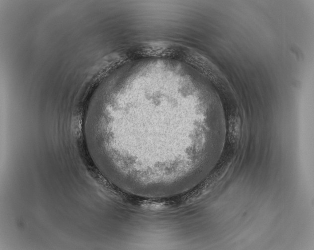 X0000112760602200909101532
