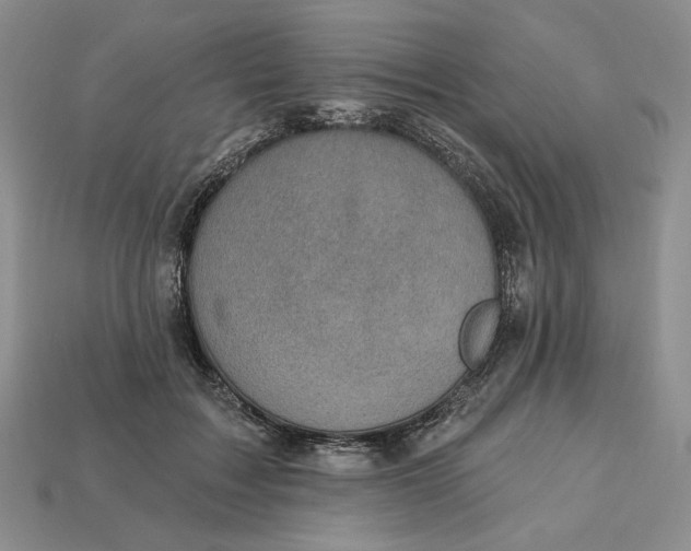 X0000112760603200909101532