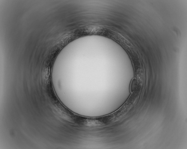 X0000112760605200909101532