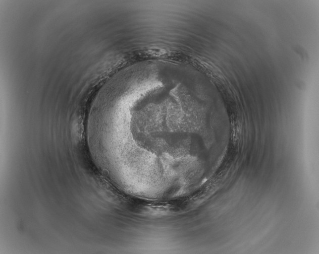 X0000112760606200909101532