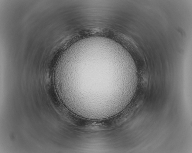 X0000112760607200909101532