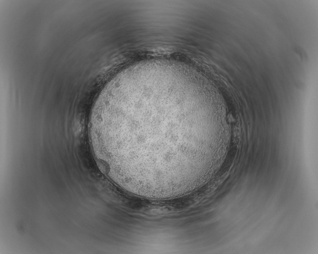 X0000112760608200909101532