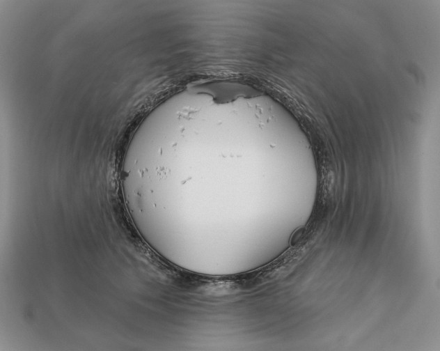 X0000112760609200909101532
