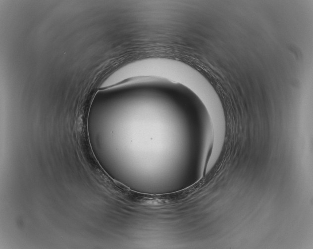 X0000112760611200909101532