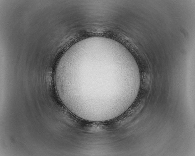 X0000112760612200909101531
