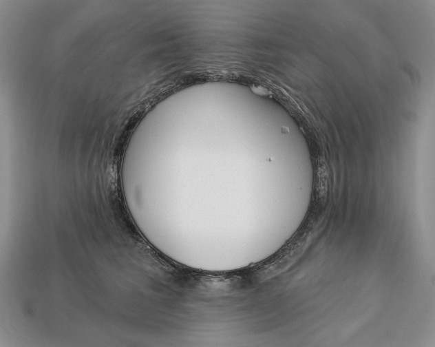 X0000112760613200909101531