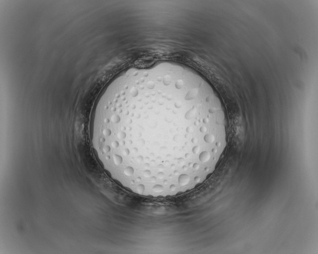 X0000112760615200909101531