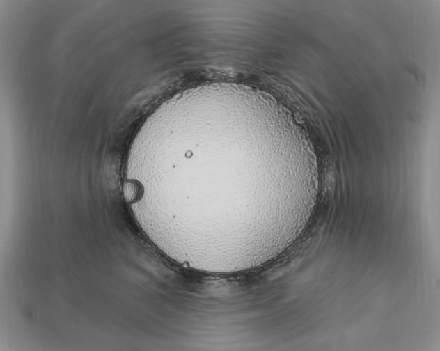 X0000112760616200909101531