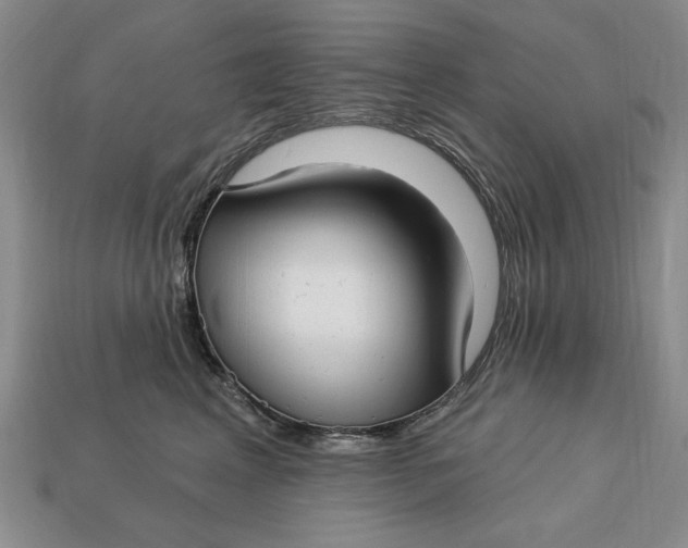 X0000112760617200909101531