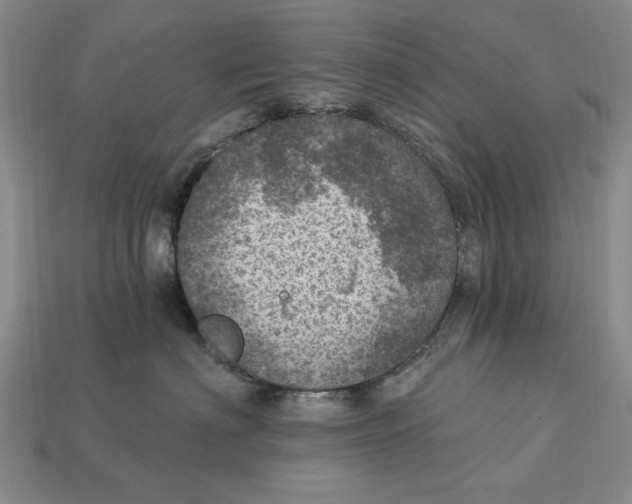 X0000112760622200909101531