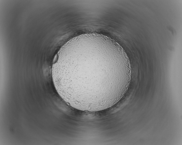 X0000112760624200909101531