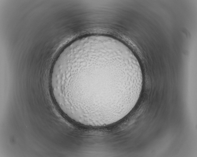 X0000112760625200909101531