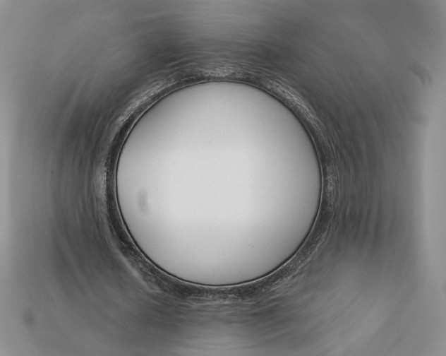 X0000112760626200909101531