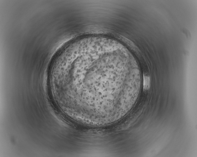 X0000112760627200909101531