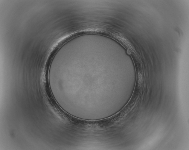 X0000112760628200909101531