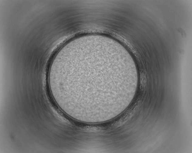 X0000112760629200909101531
