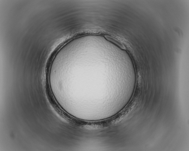X0000112760630200909101531