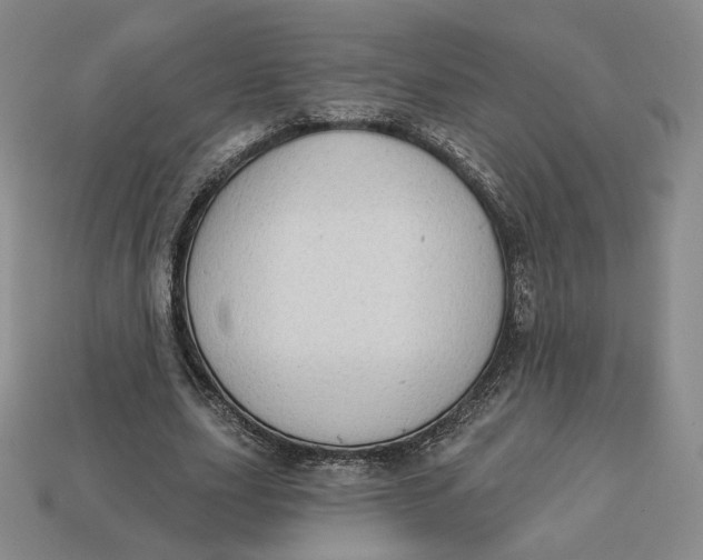 X0000112760631200909101531