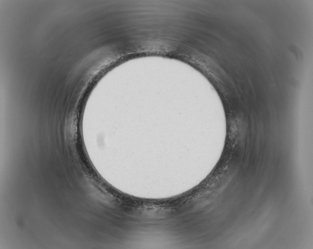 X0000112760632200909101531