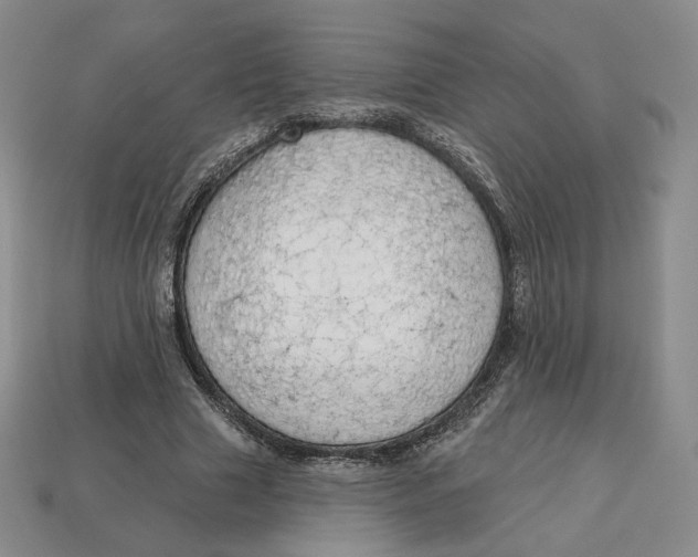 X0000112760633200909101531