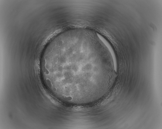 X0000112760634200909101531