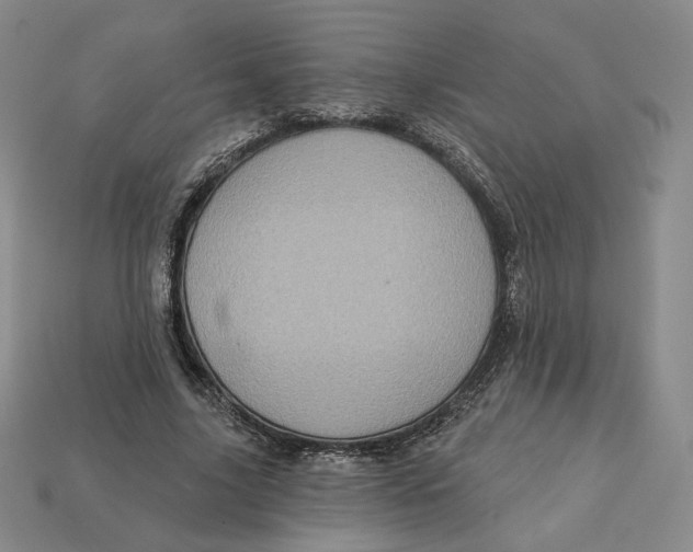 X0000112760635200909101531