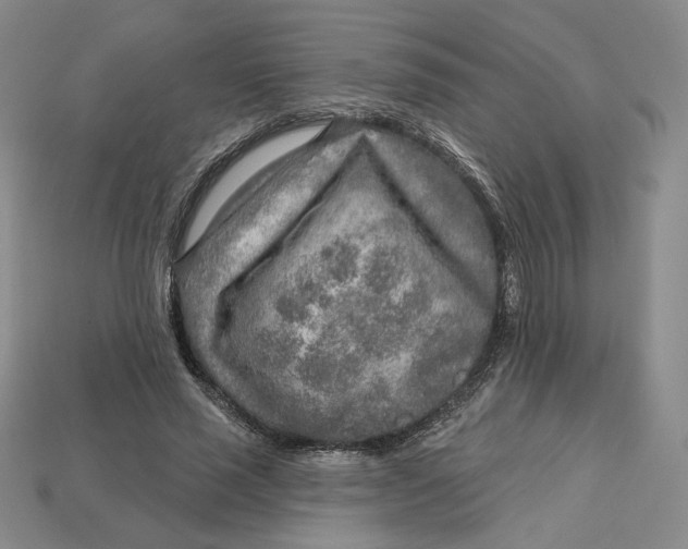 X0000112760637200909101531