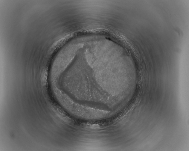 X0000112760640200909101531
