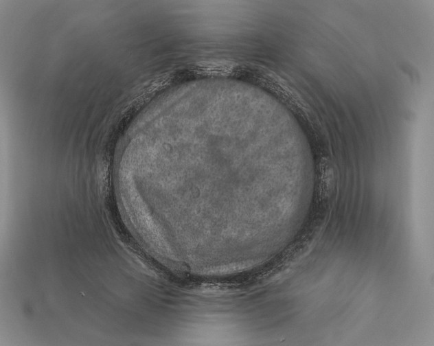X0000112760641200909101531