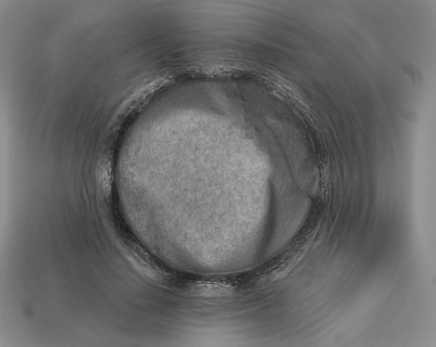 X0000112760644200909101531