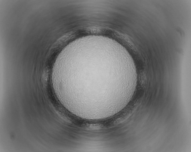 X0000112760645200909101531